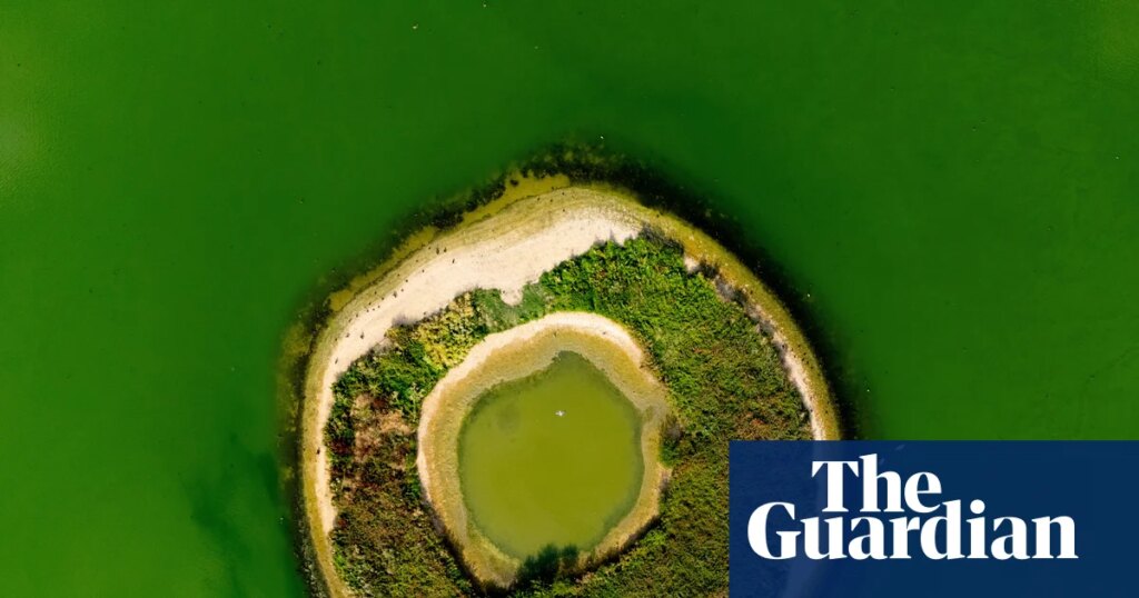 Blame privatised water firms for hosepipe bans | Water industry