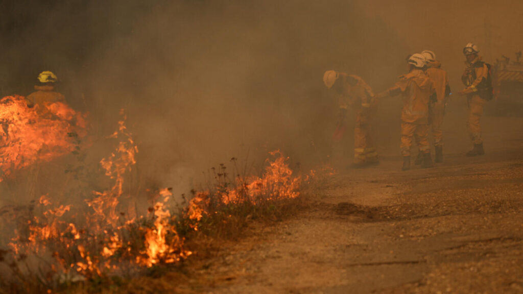Bordeaux under threat as France and Spain battle ‘unprecedented’ wildfires