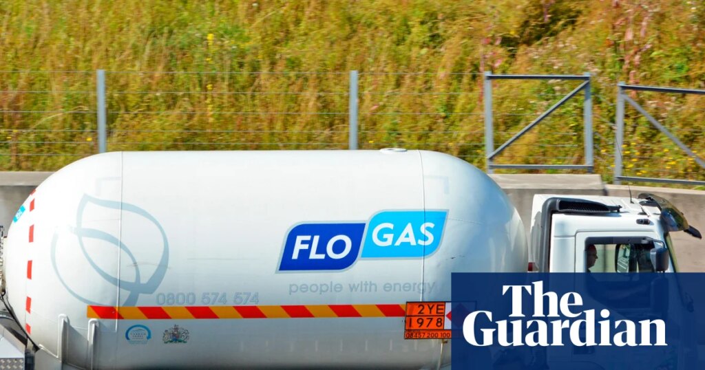 DCC, one of FTSE 100’s biggest energy firms, agrees £5.75bn takeover | Energy industry