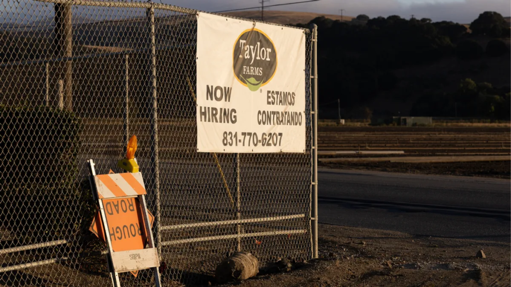 Do Taylor Farms field workers get bathroom breaks? Claim spreads among cyclosporiasis outbreak