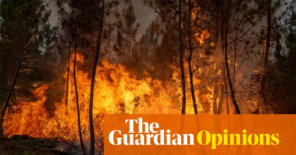 Europe is burning – and if Trump’s war on the climate is not met with sanctions, things will only get worse | Alexander Hurst