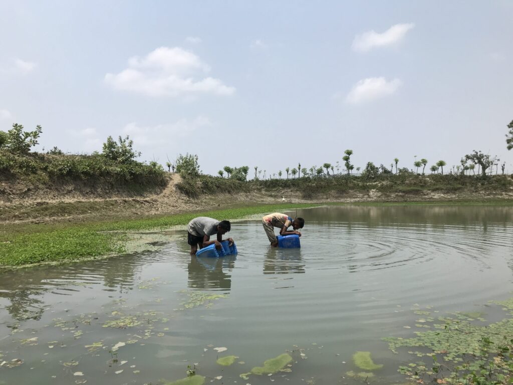 How saline drinking water raises preeclampsia risks in coastal Bangladesh (commentary)