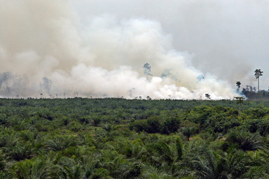 Indonesia shows elevated fire hotspot activity in 2026 as super El Niño threat looms