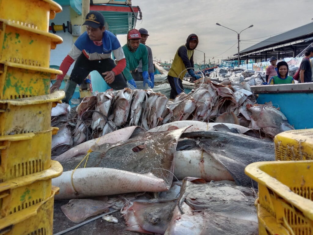 New treaty promises safer conditions for Indonesia’s fishing crews
