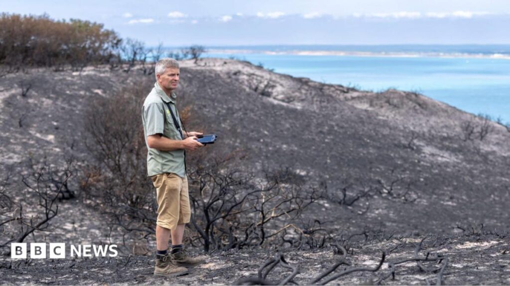 ‘Really upsetting’ that camp fire likely led to Isle of Wight rare habitat blaze