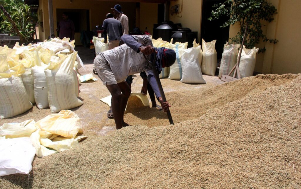 Sri Lanka prepares for impending El Niño with traditional and new approaches