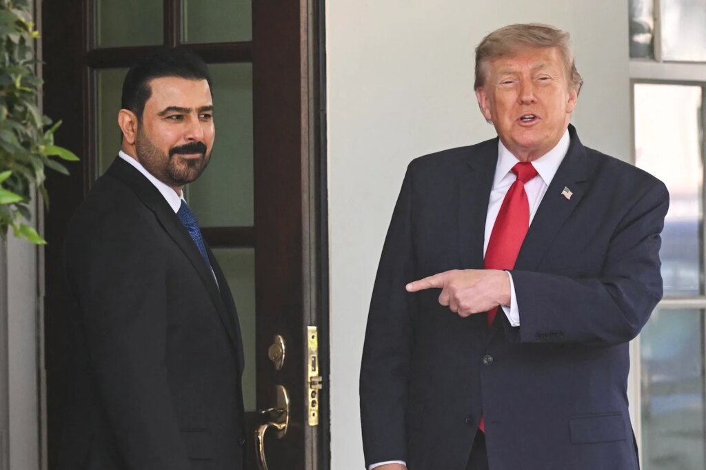 Trumps Strongmen Bet in the Middle East