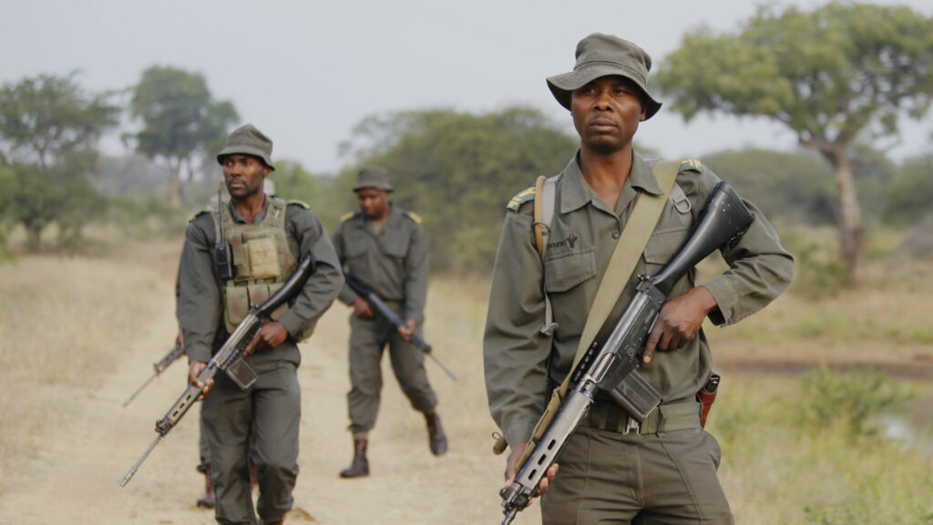 World Ranger Day: Justice for the protectors of the wild