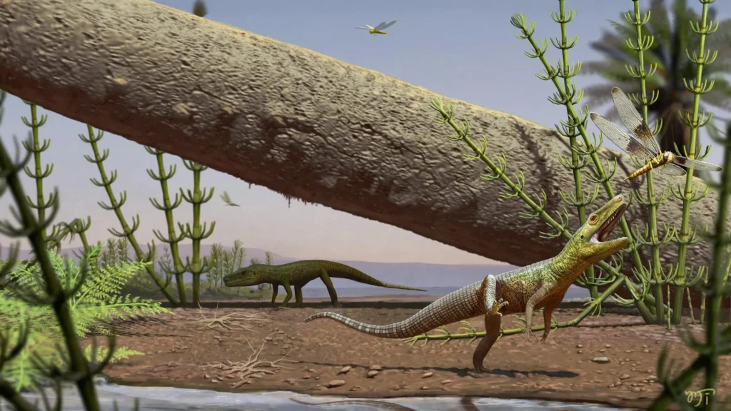240-million-year-old reptile fossil reveals a lost chapter before dinosaurs and crocodiles