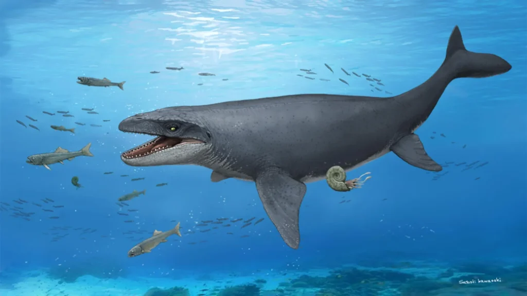 A 30-year-old fossil was hiding bones from a mysterious ancient sea monster