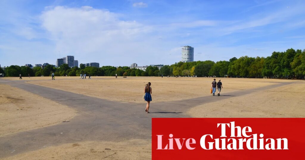 Amber heat health alerts kick in across most of England ahead of fifth summer heatwave – latest news | Environment