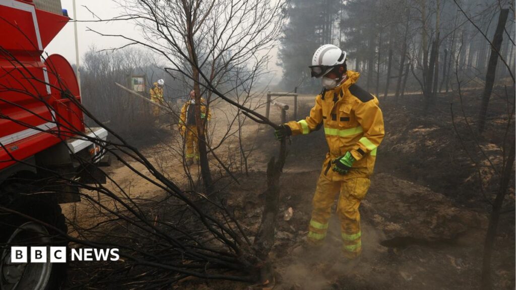 Belgian wildfire doubles in size on third day tearing through Hautes Fagnes nature reserve