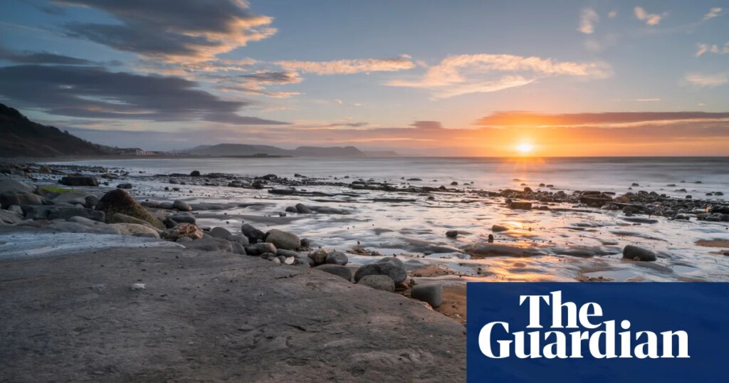 Block export of ‘national treasure’ UK fossils, says MP | Fossils