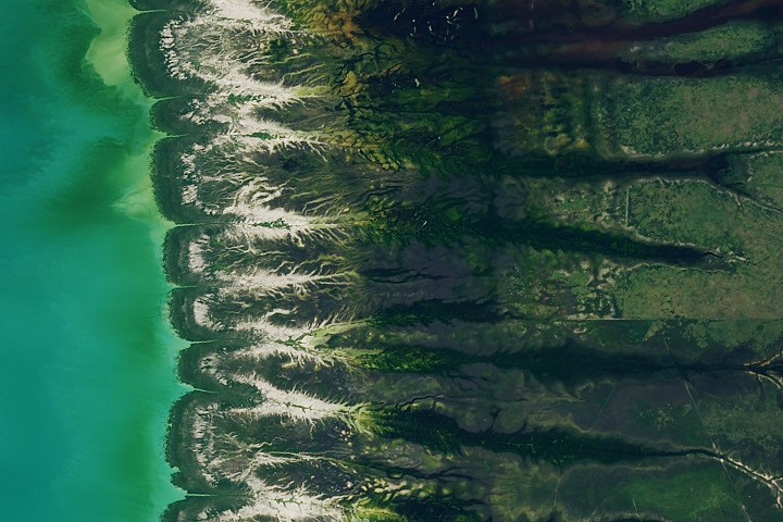 Bountiful Roebuck Bay – NASA Science