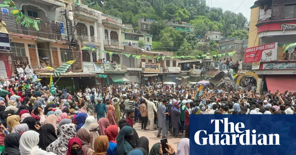 British national shot dead in Kashmir by Pakistani security forces | Kashmir