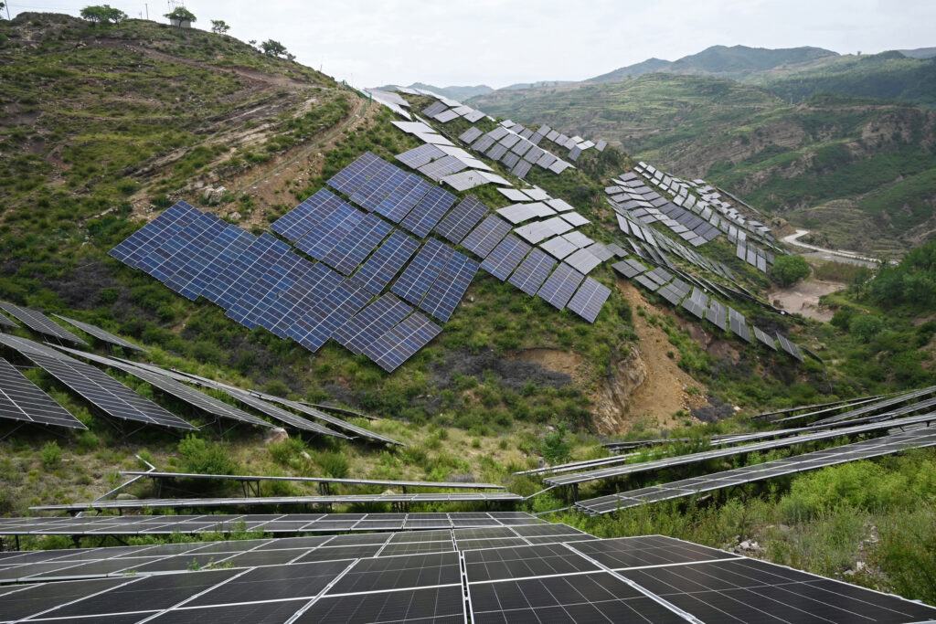 China’s Solar Buildout Hampers Bird Diversity