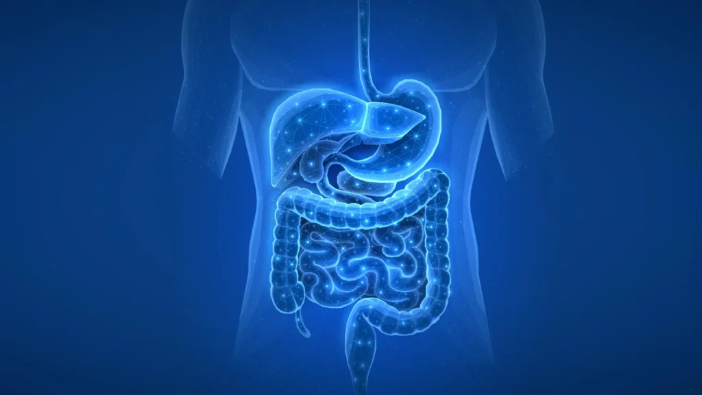 Common medications may change your gut for years