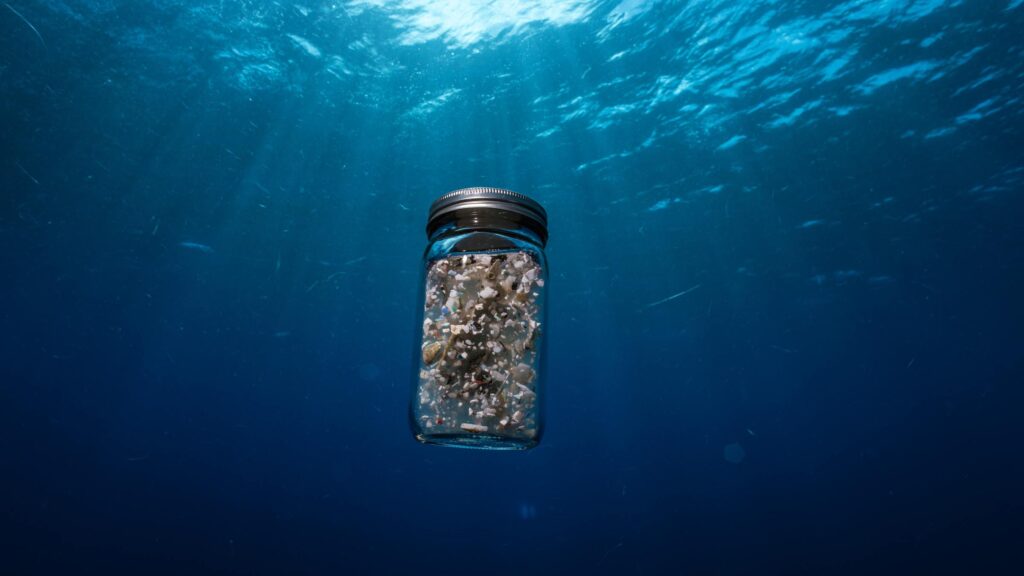 Deep-sea snails and mussels in Indian and Pacific Oceans contain microplastics, study finds