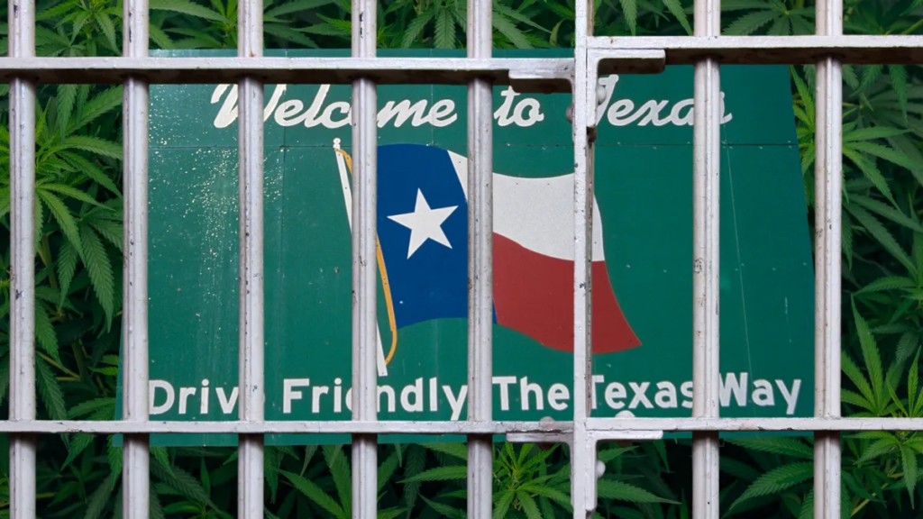 Did Texas make marijuana possession a felony after 70% of voters supported legalization?