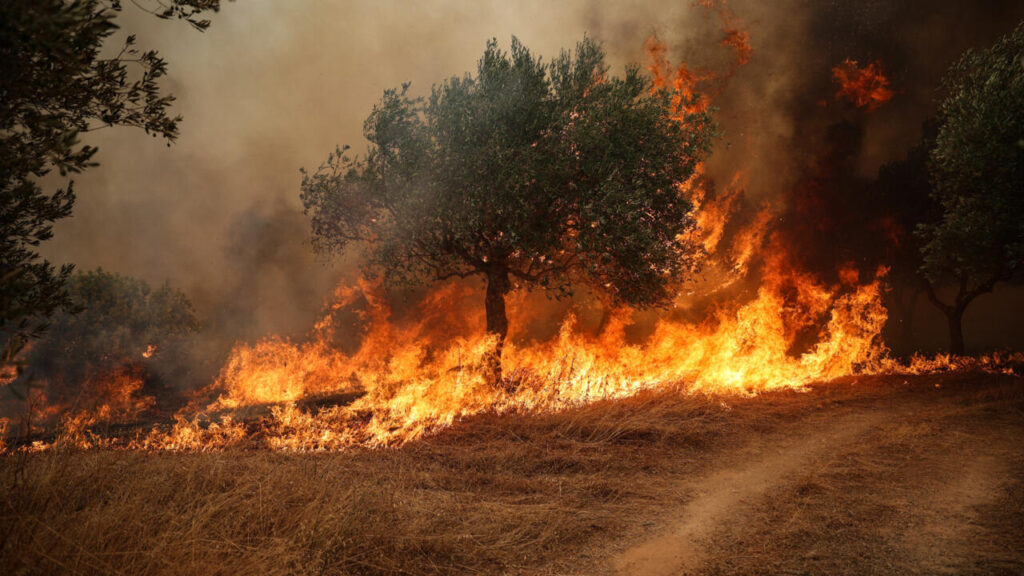 Europe’s record-breaking heat sparks wildfires, drought in France, Greece and the UK