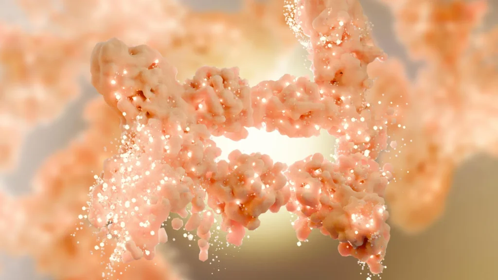 Experimental compound helps burn fat without muscle loss
