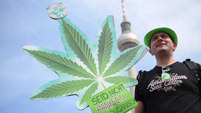 Germany becomes Europe’s largest regulated cannabis market