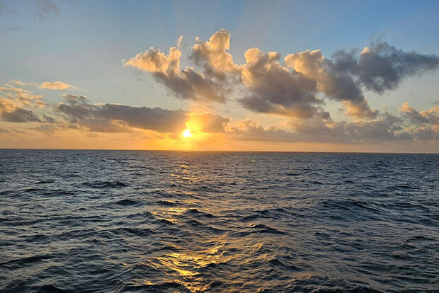Global sea surface temperatures reach a record high, again