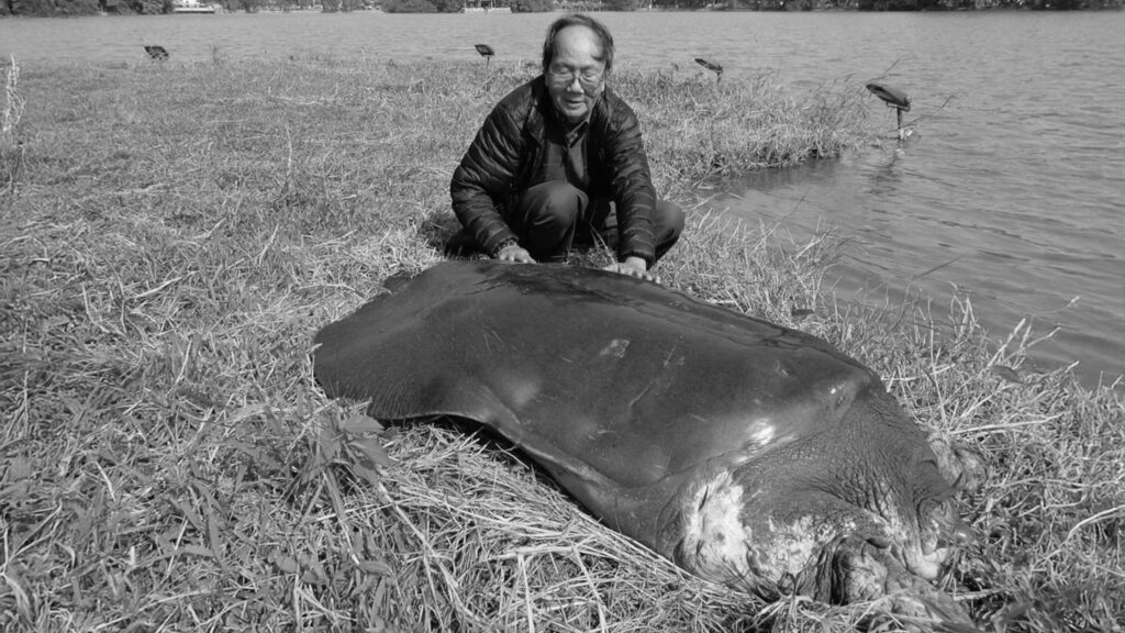 Hà Đình Đức, guardian of Hanoi’s legendary turtle, died at 86