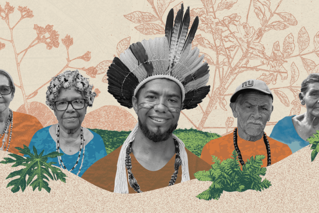 How a Brazilian Indigenous ethnobotanist & elders recorded their people’s medicinal knowledge