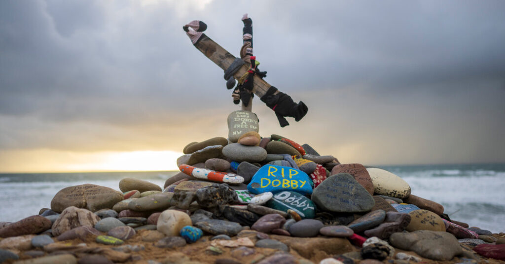 How ‘Harry Potter’ Fans Protected Dobby’s Grave From the Path of a U.K.-Ireland Power Line