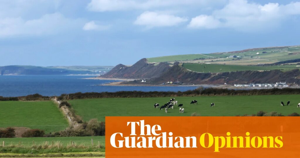 I’m known as The Black Farmer because there are so few of us in the UK. It’s one of the ways farming must change | Wilfred Emmanuel-Jones