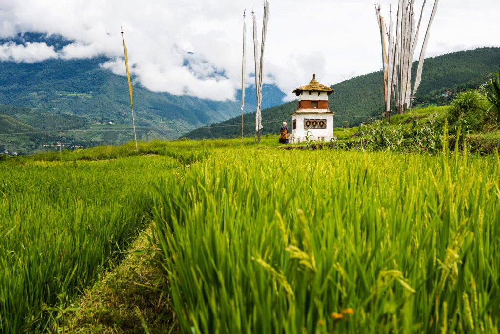 In Bhutan, a philosophy of happiness guides a push for food self-sufficiency