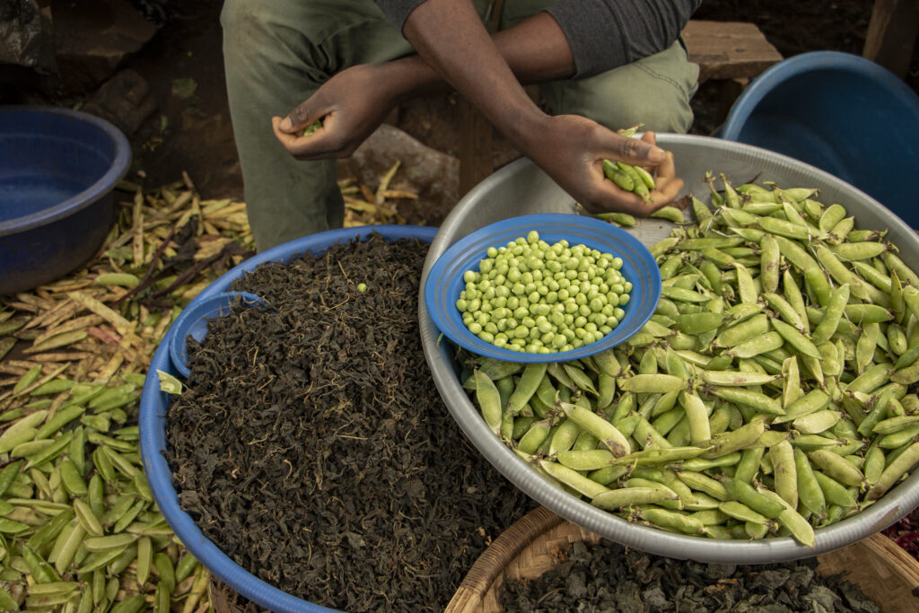 Indigenous food sovereignty is one of the most overlooked conservation strategies (commentary)