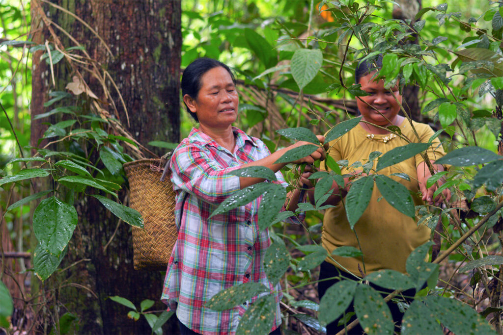 Indonesia integrates Indigenous data in bid to put customary lands on map