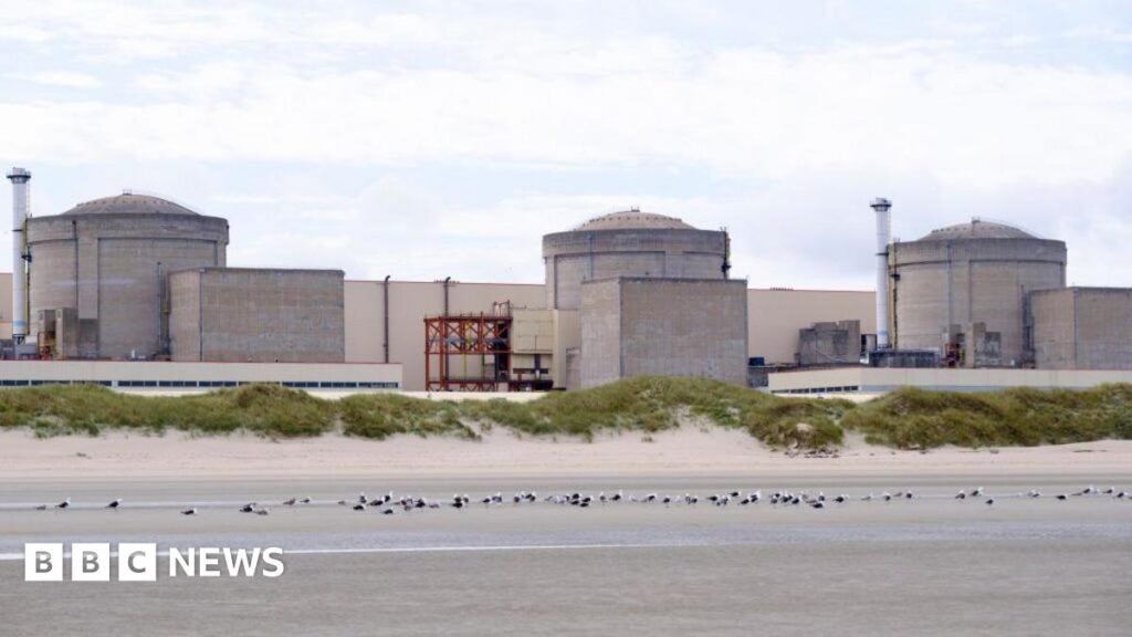 Jellyfish force partial shutdown of France’s Gravelines nuclear plant