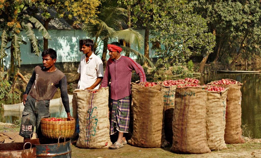 Jute loses ground to plastic despite Bangladesh’s packaging law