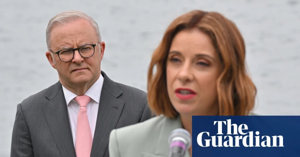 Labor pledges opt-out register for online gambling ads akin to Do Not Call register for spam calls | Australian politics