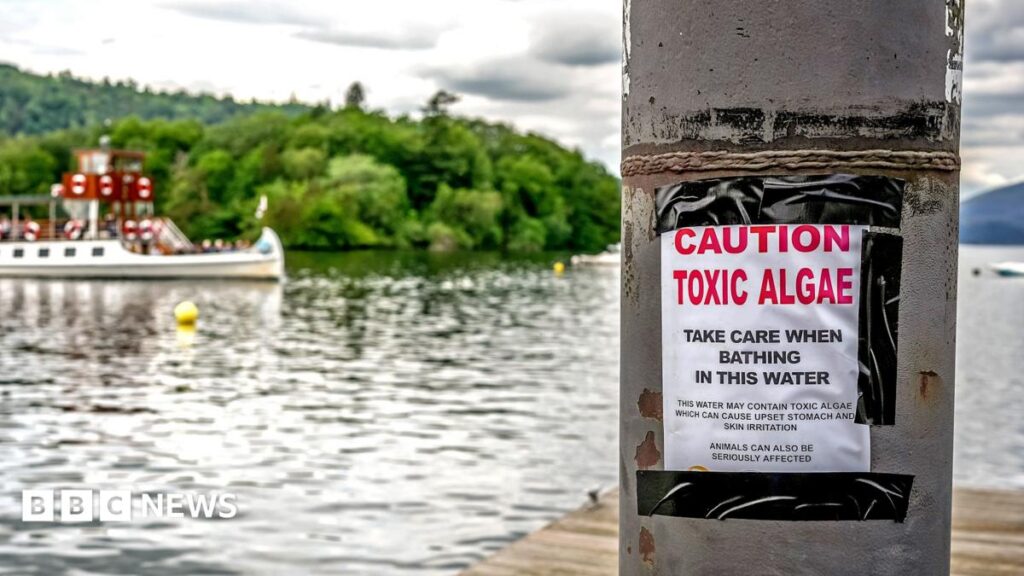 Majority of England’s rivers and lakes fail pollution review