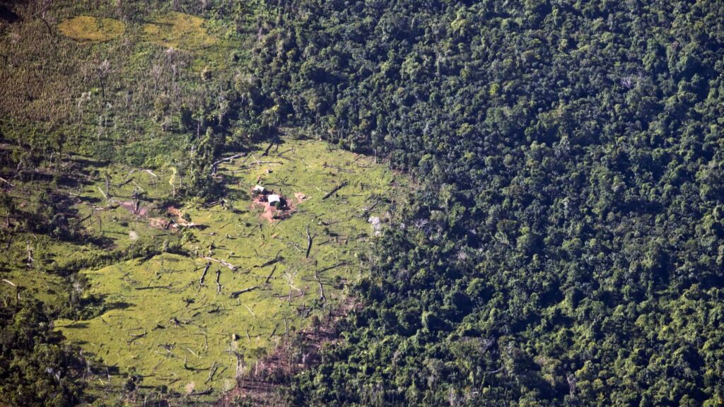 Nicaragua’s gold boom is now encroaching on protected areas and Indigenous land