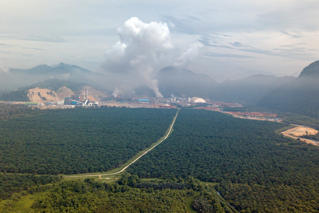 Nickel expansion puts Indonesia’s biodiversity goals under pressure, study finds
