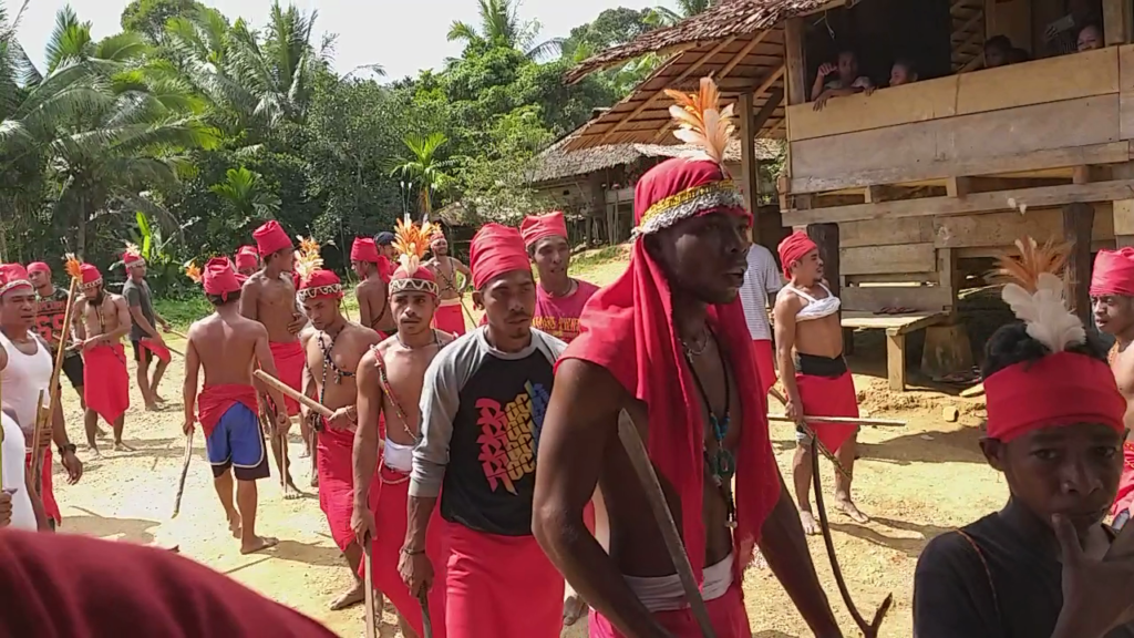 On an Indonesian island, an ancient ritual evolves to protect an endangered cockatoo