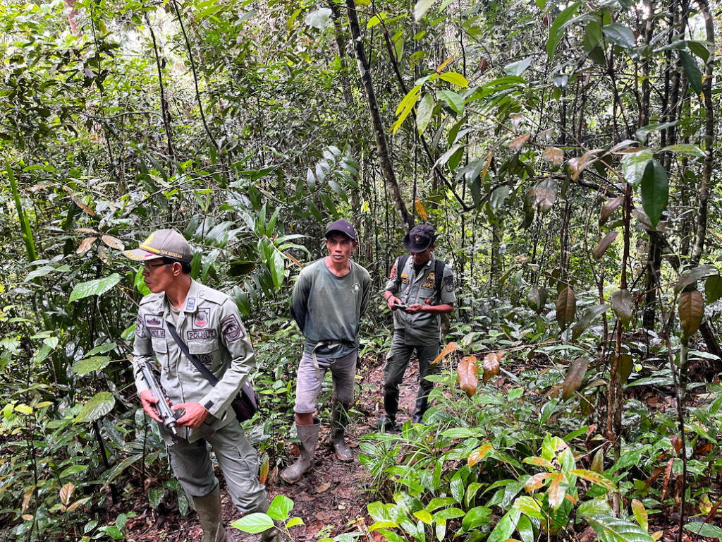 On the front lines of conservation in Sumatra: Rangers safeguard Batutegi forest
