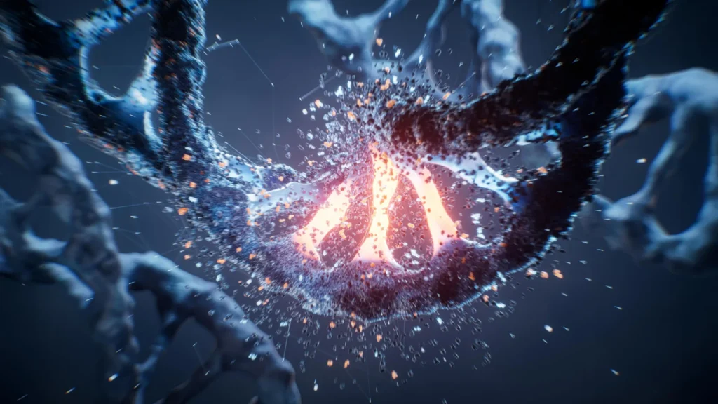 One faulty gene copy can make the heart’s DNA fold the wrong way