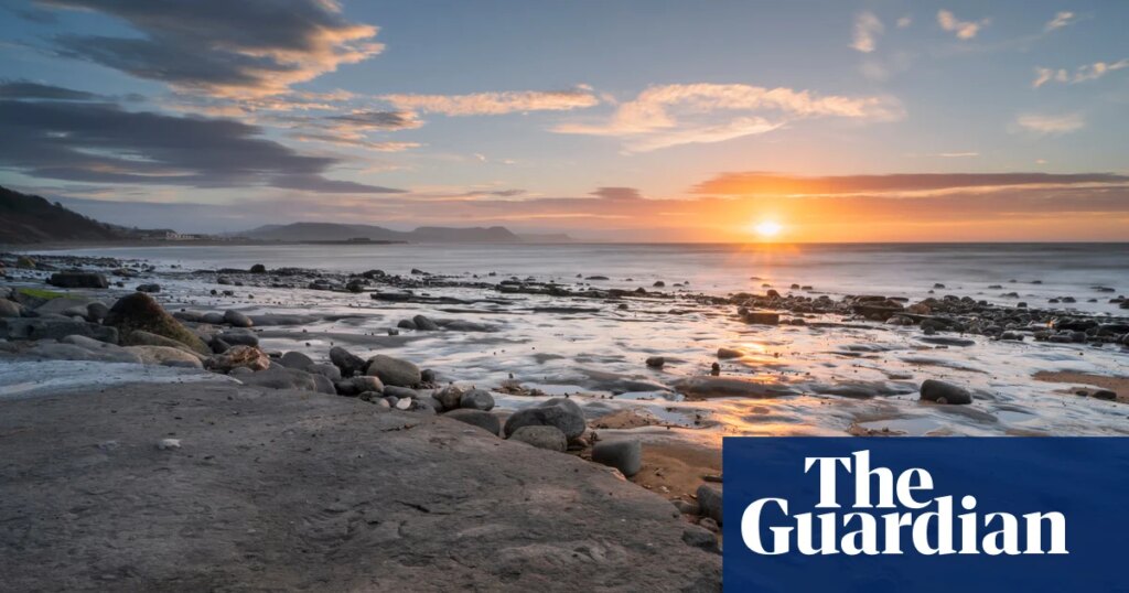 Protect fossils from hammer-wielding tourists | Fossils