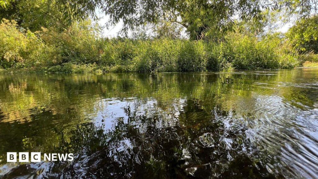 Quality of Thames Water ‘flagship’ chalk stream rated as poor