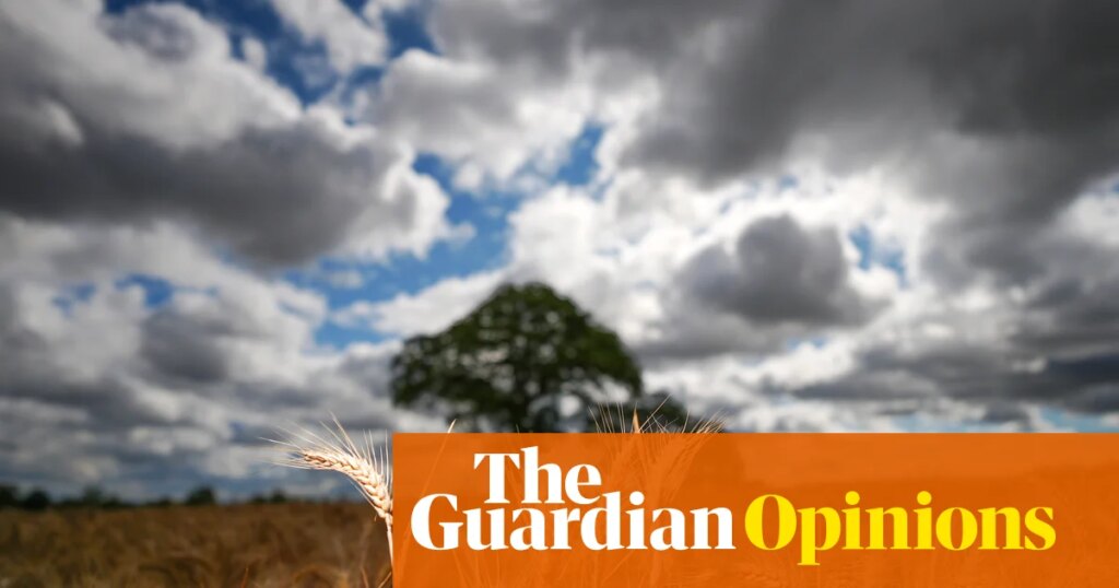 Reform says we need to choose between climate and economy. It’s wrong | Larry Elliott