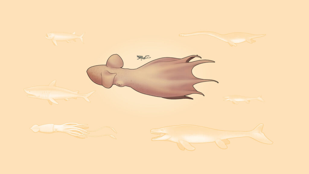 Scientists discover that giant octopuses were top predators of ancient oceans
