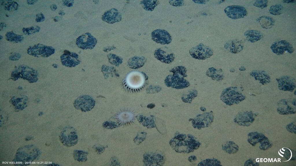 Six African countries now support precautionary pause on deep-seabed mining