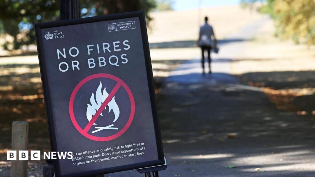 Temporary disposable barbecue ban over wildfire risk