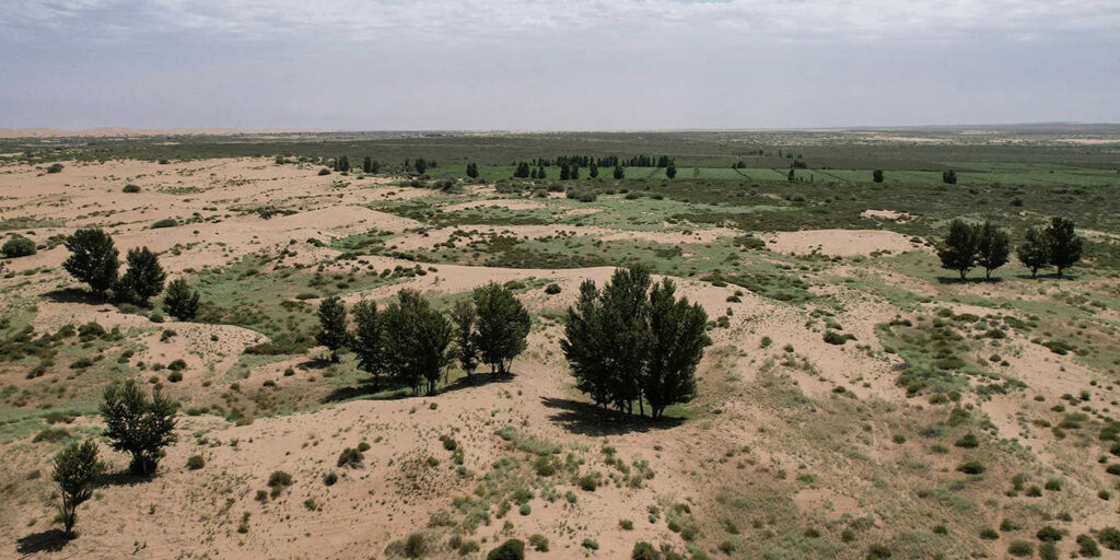 The Global Land Agenda’s Moment of Truth by Osama Faqeeha & Bradley Hiller